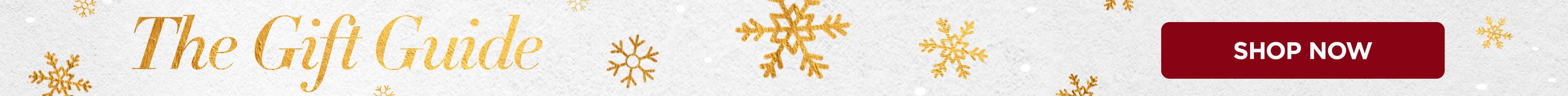 Gif guide Skinny Banner