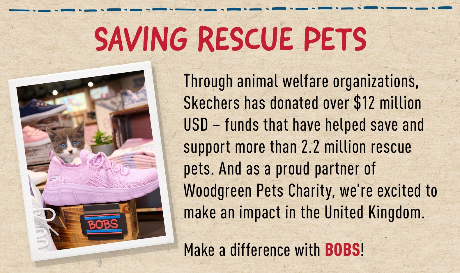 Saving Shelter Animals' Lives